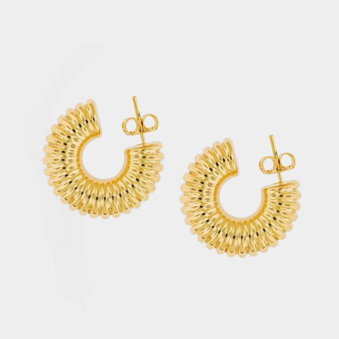 Aretes Entorchados