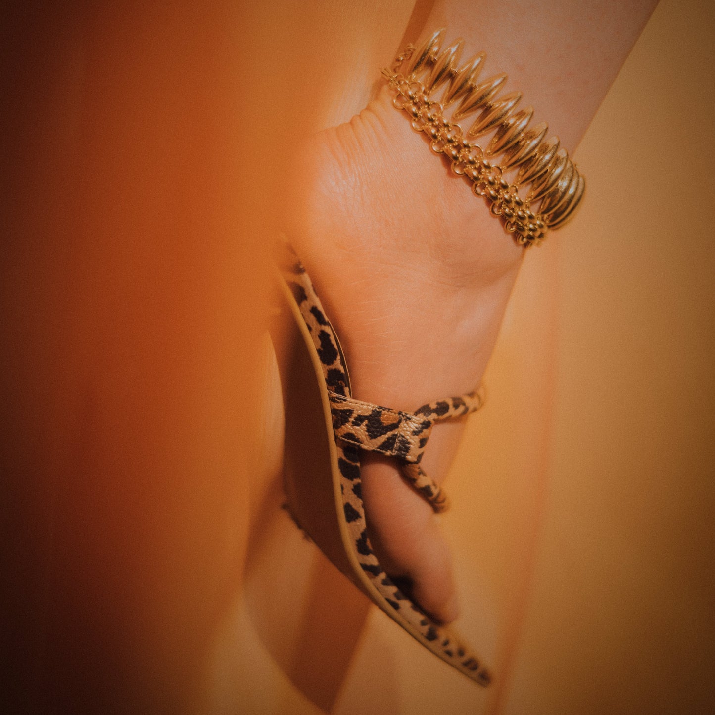 Pulsera Cirel