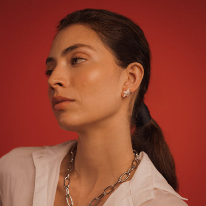 Aretes Plateados Alira